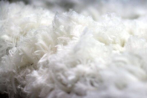 laine merinos ZQ merino