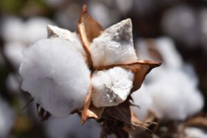 cotton, an average anti-perspiration material